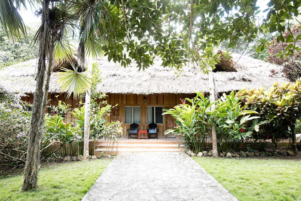 Hotel Jungle